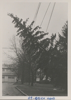 Unable to load Image